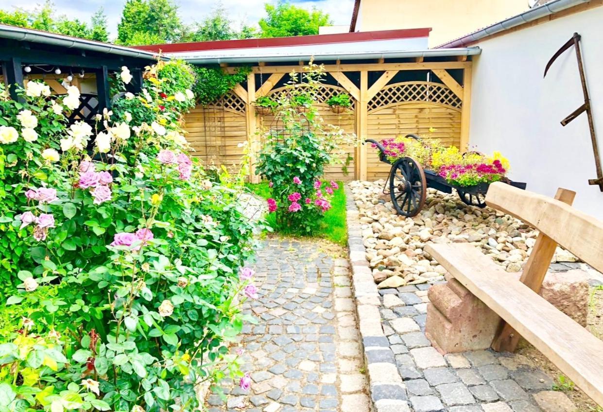 Ferienwohnungen Grimma 3 Esterno foto